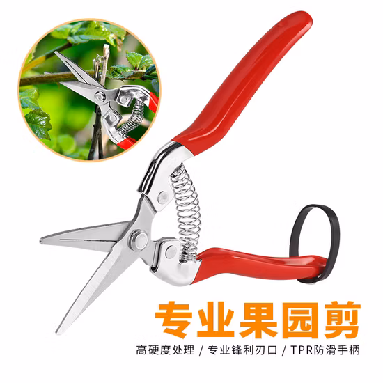 Juego de jardín, podadora de hojas de trinquete, tijeras de podar para frutas y uvas, herramientas de recorte de jardinería con codo para bonsái de acero inoxidable